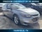 2023 Chevrolet Malibu FL