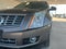 2014 Cadillac SRX Premium Collection